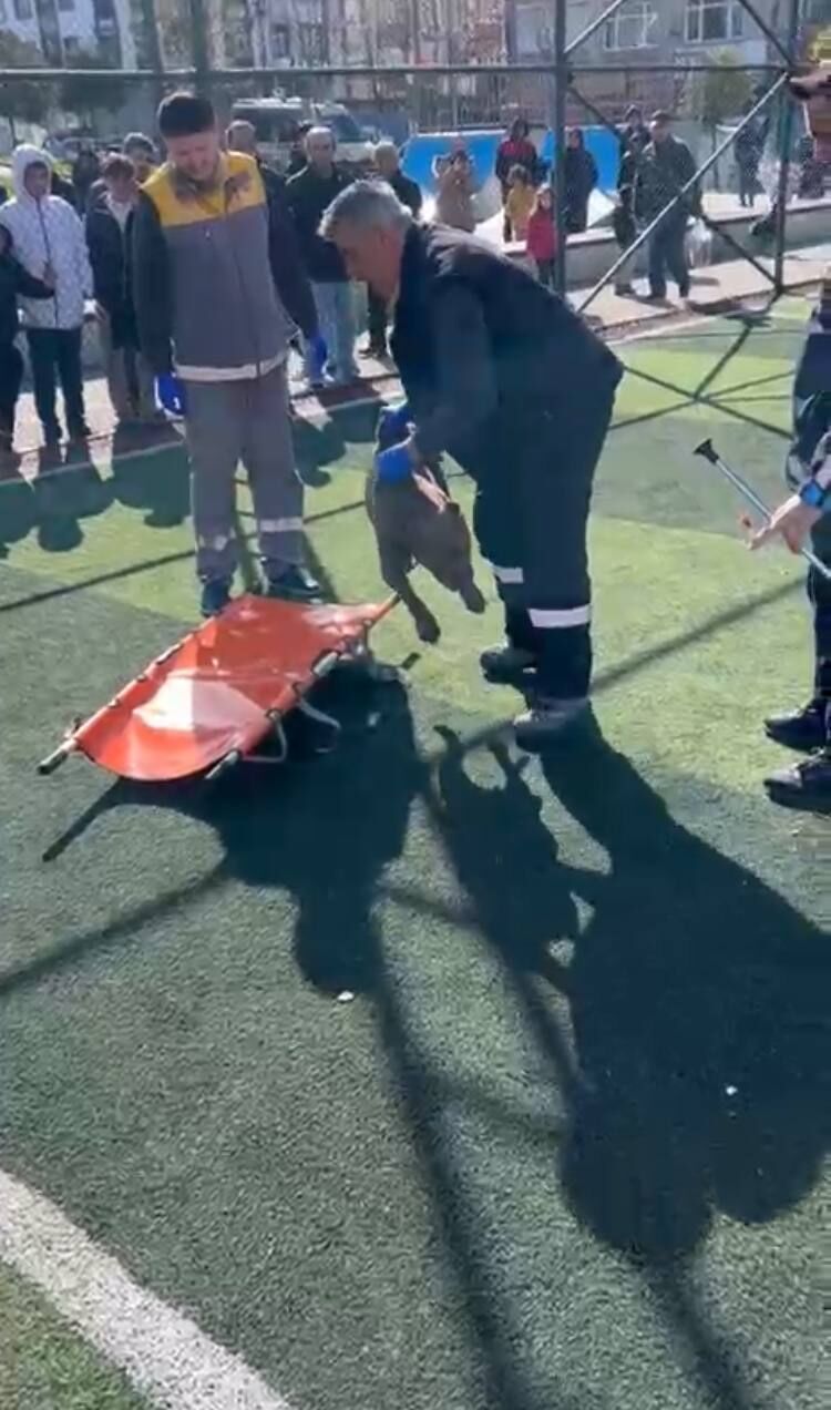 I S T A N B U L S U L T A N G A Z I’ D E F U T B O L S A H A S I N D A 1202509 357547